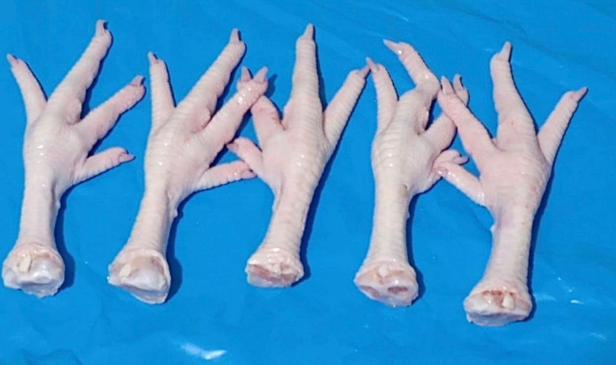 Chicken Paws - Grade AA